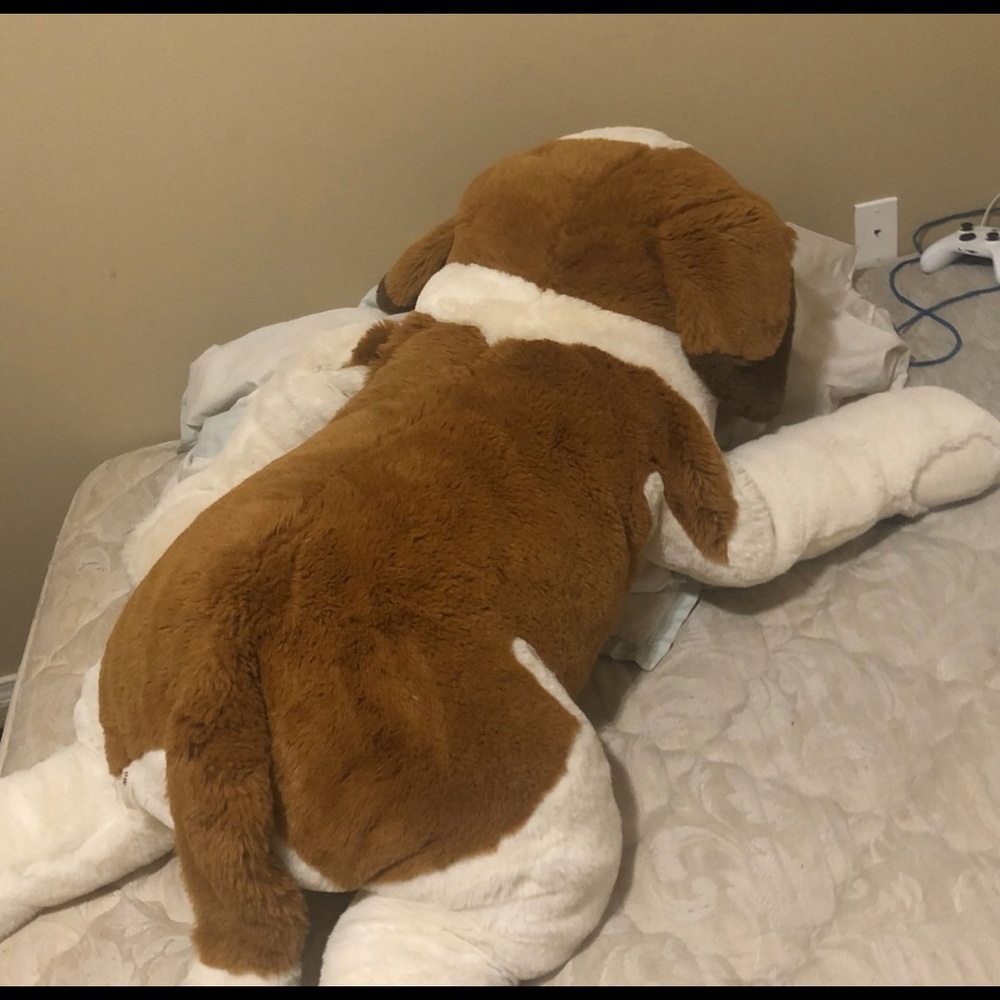 Stuffed animal dog